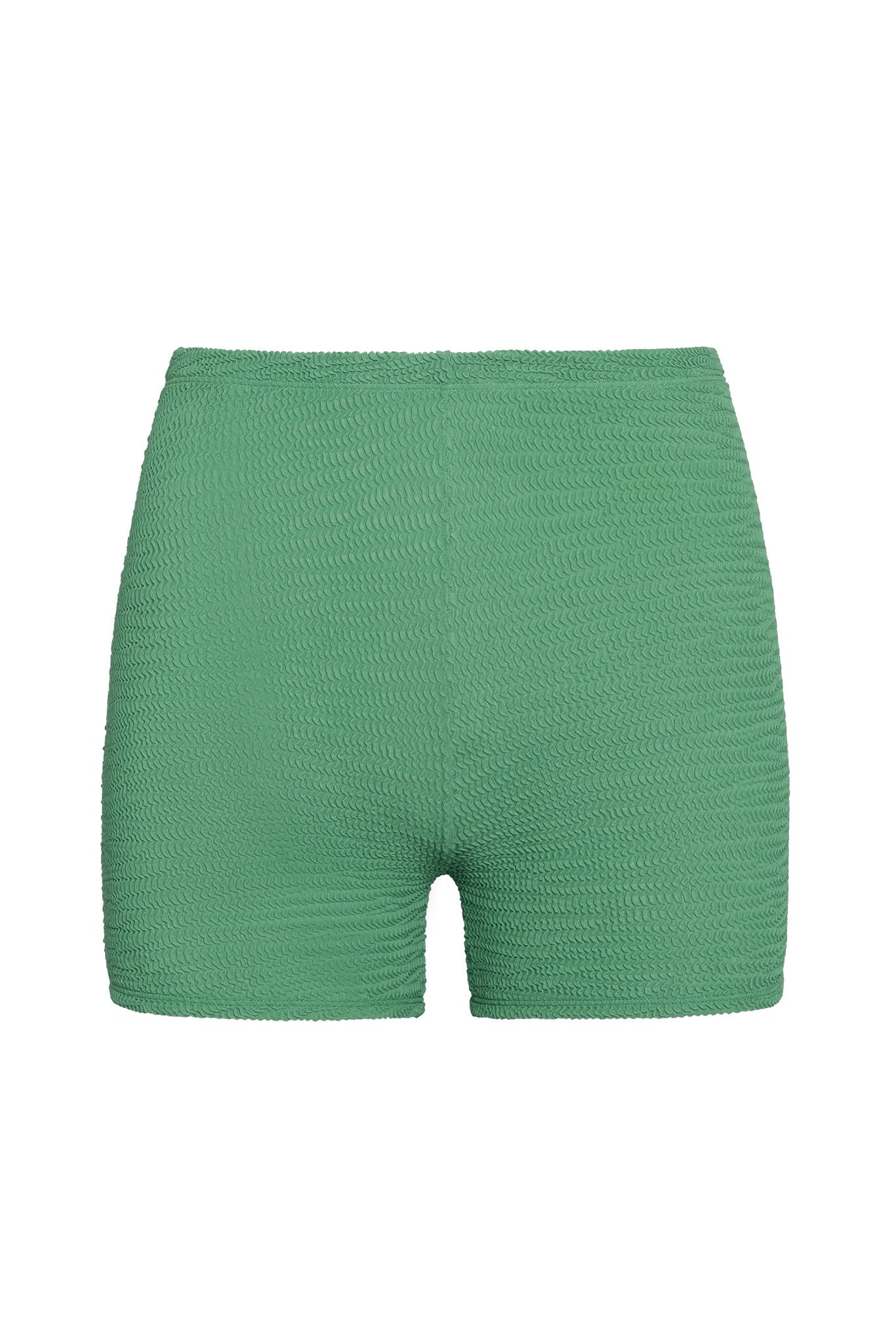 Santa Cruz Short - Pond Crinkle