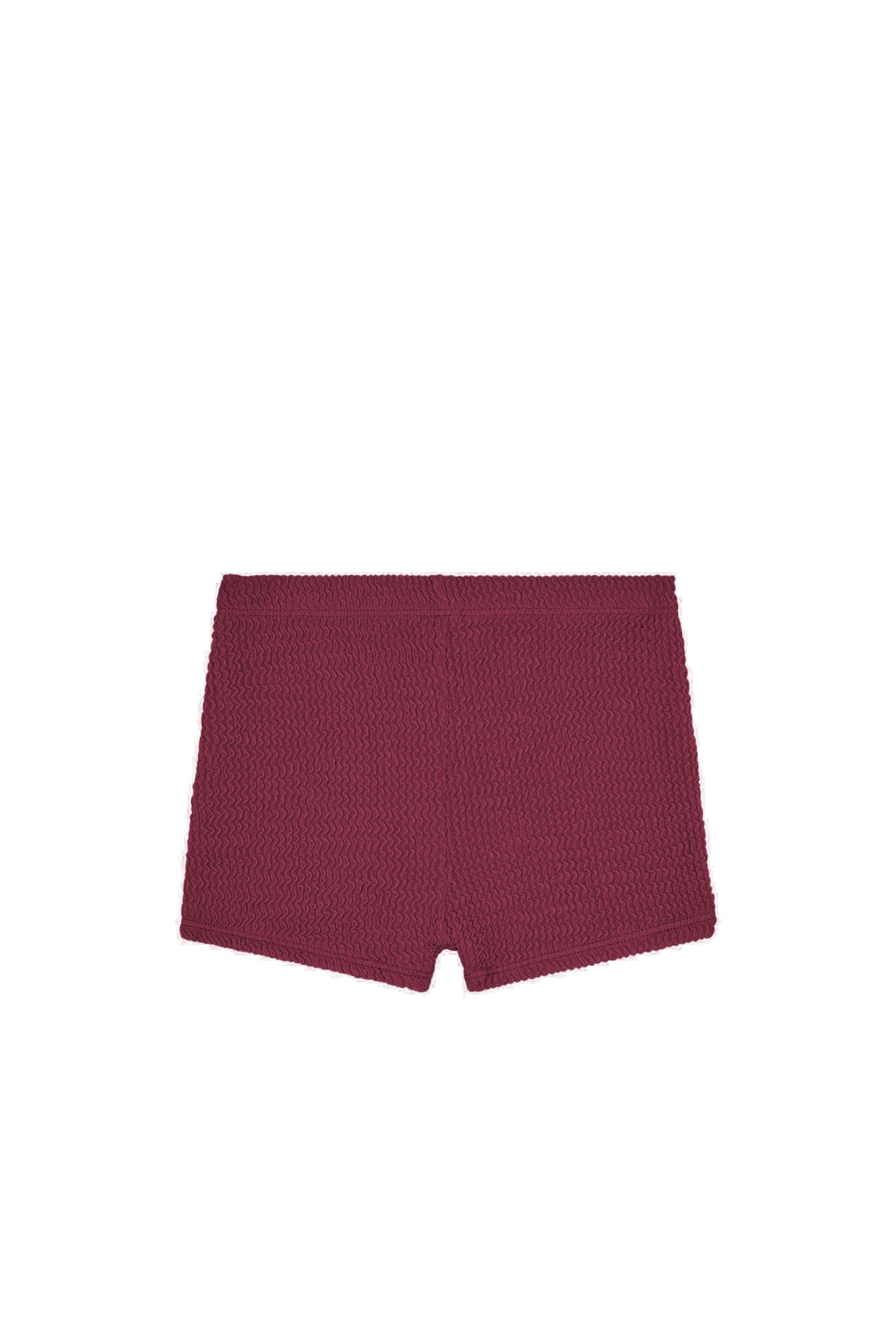 Santa Cruz Shorts Kids - Fig Crinkle